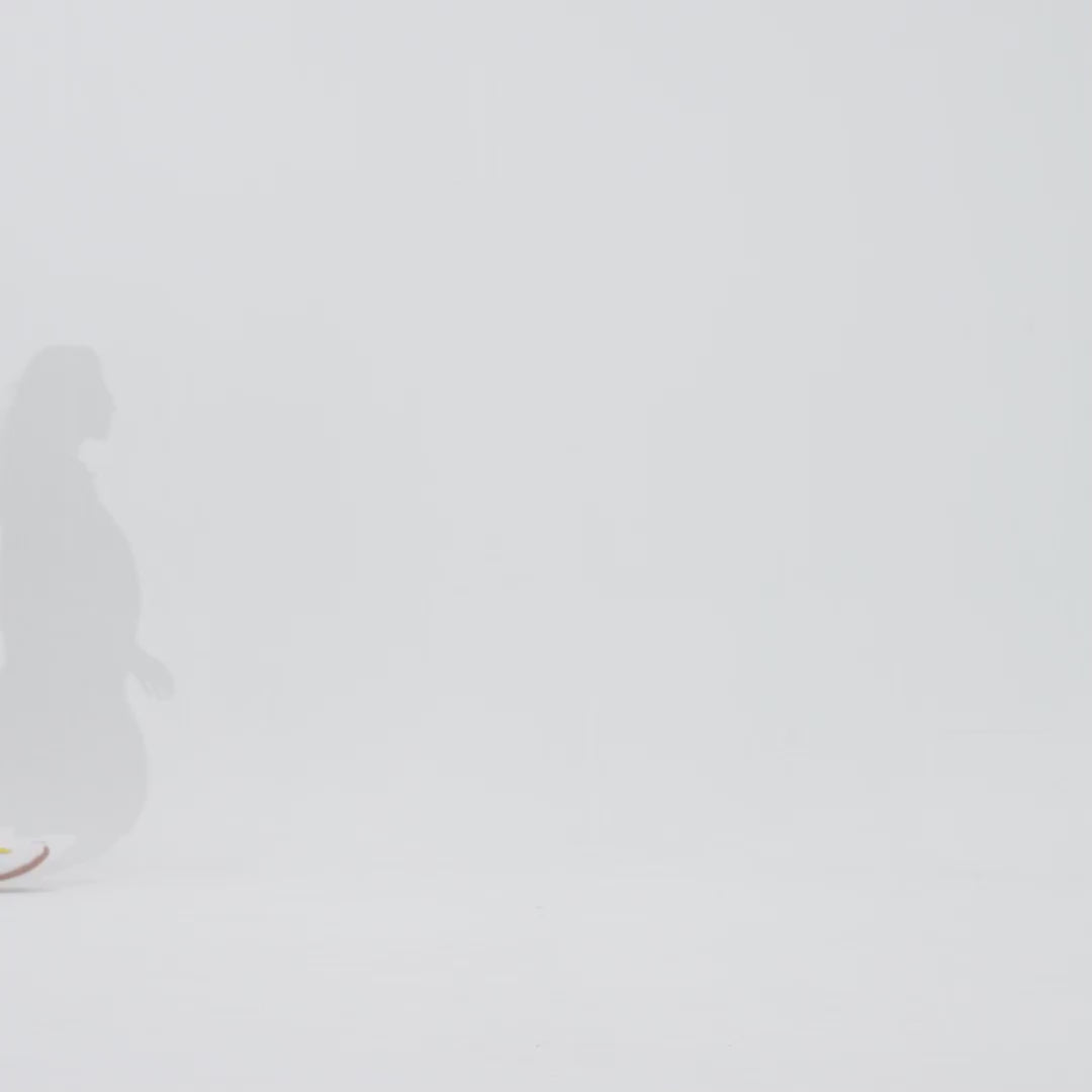 Popping Happiness Toledo I Women